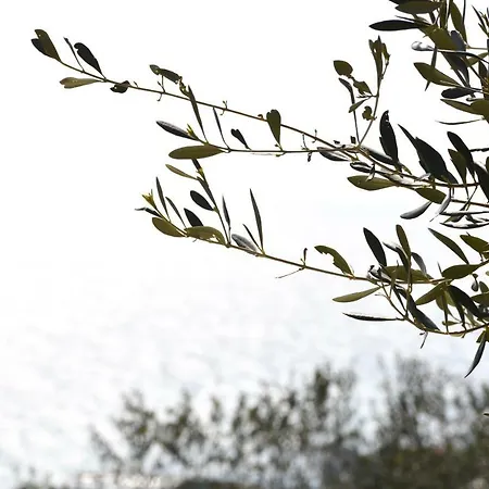 La Torretta Hébergement de vacances Imperia