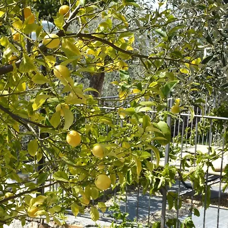 La Torretta Dom wakacyjny *