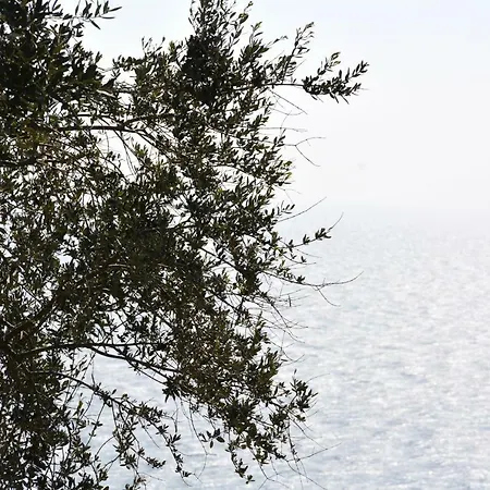 Holiday home La Torretta