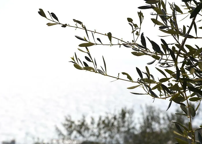 La Torretta Ferienhaus Imperia