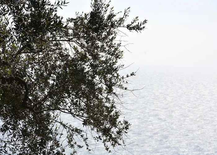 Semesterbostad La Torretta