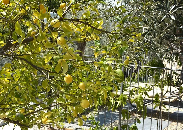 La Torretta Tatil Evi *